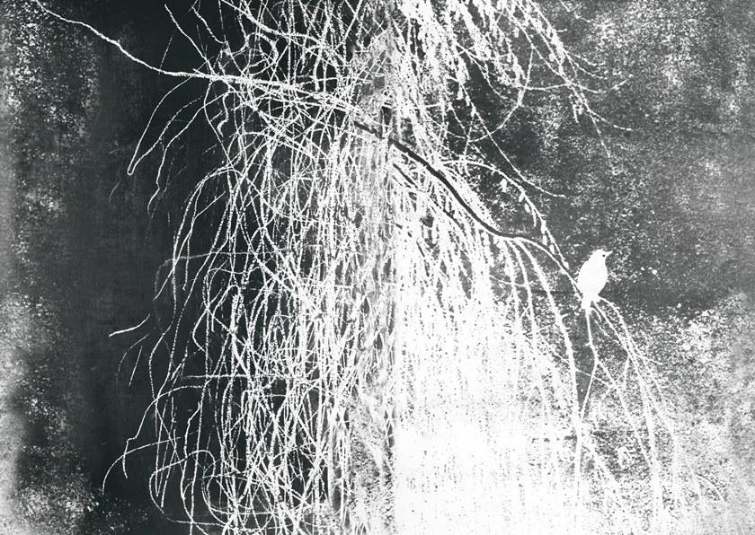 Wall&decò Пейзаж обои Contemporary wallpaper 2018 sun-id-1441482 - Вид №1