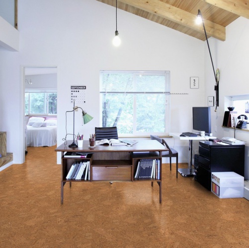 Пробка Wicanders Eco Cork Accent (Гладкая) 600х300 мм DN17002 - Вид №36