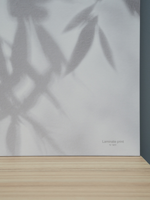 Стеновые панели - Пробуждение LIGRON LIST51 2180 - Вид №10