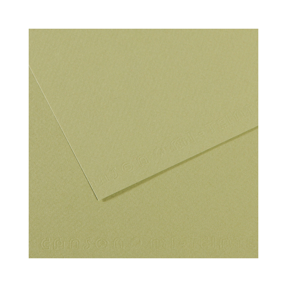 200321164 Бумага для пастели Mi-Teintes 160 г/м2 50 х 65 см лист №480 светло-зеленый Canson 
