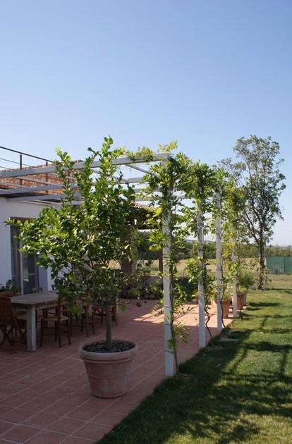 CAGIS Пристенная пергола из стали sun-id-1512793 - Вид №3