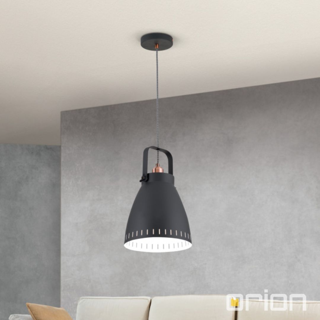 Orion HL 6-1689/1 schwarz Thenke подвесной светильник 119210 - Вид №1