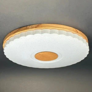 Светильник СЕМЬ ОГНЕЙ Виола - регулируемая подсветка с пультом управления 89415642