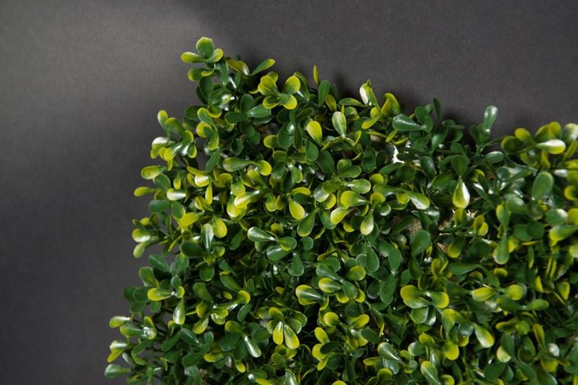 VGnewtrend Овощной каркас Vertical garden 1142348.60  - Вид №3