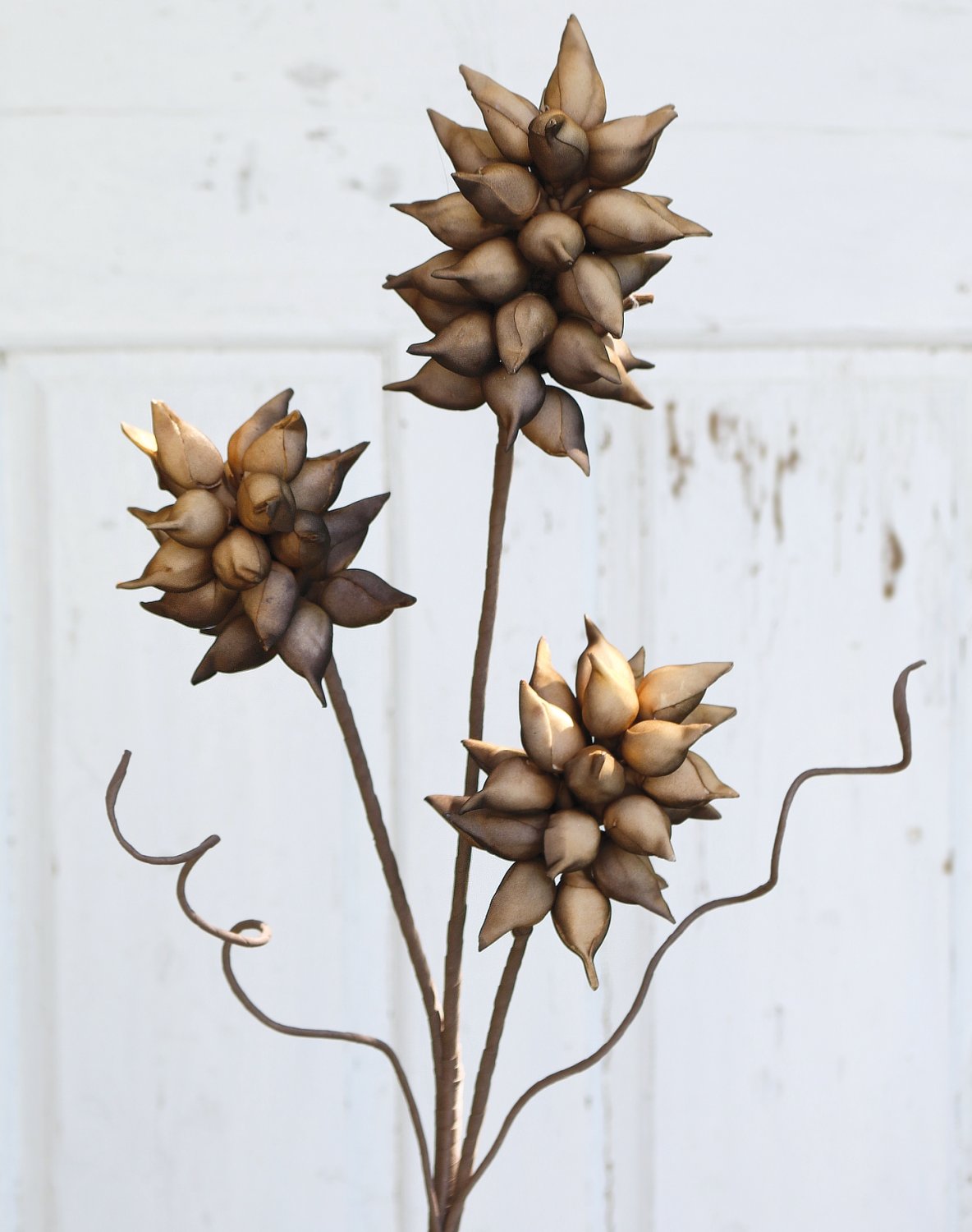 7954 666 a3 Шелковый мягкий цветок 'paulownia', 95 см, коричневый H-andreas 