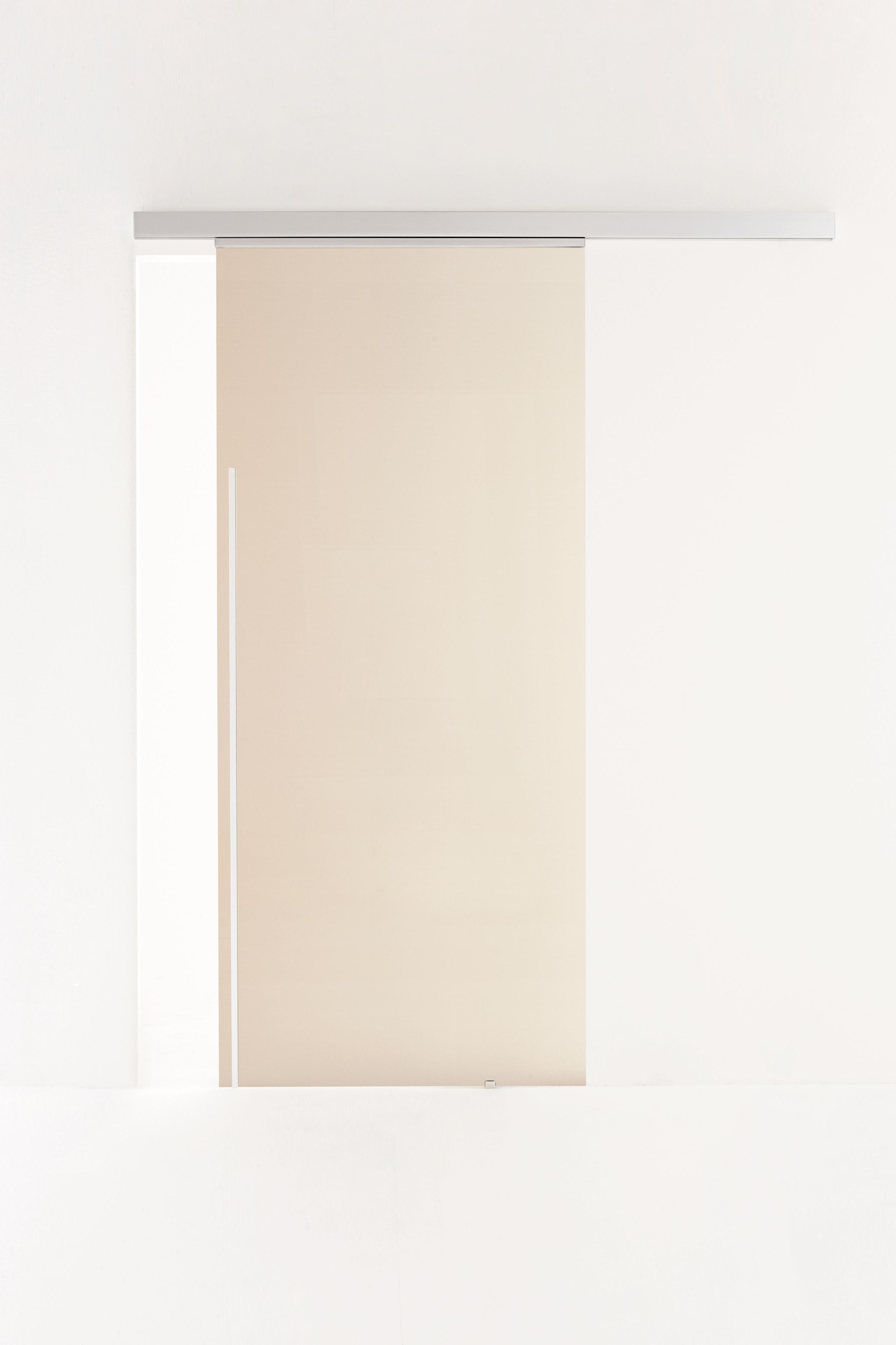 Стеклянная дверь ALBED точка ARCH-00148313 - Вид №5