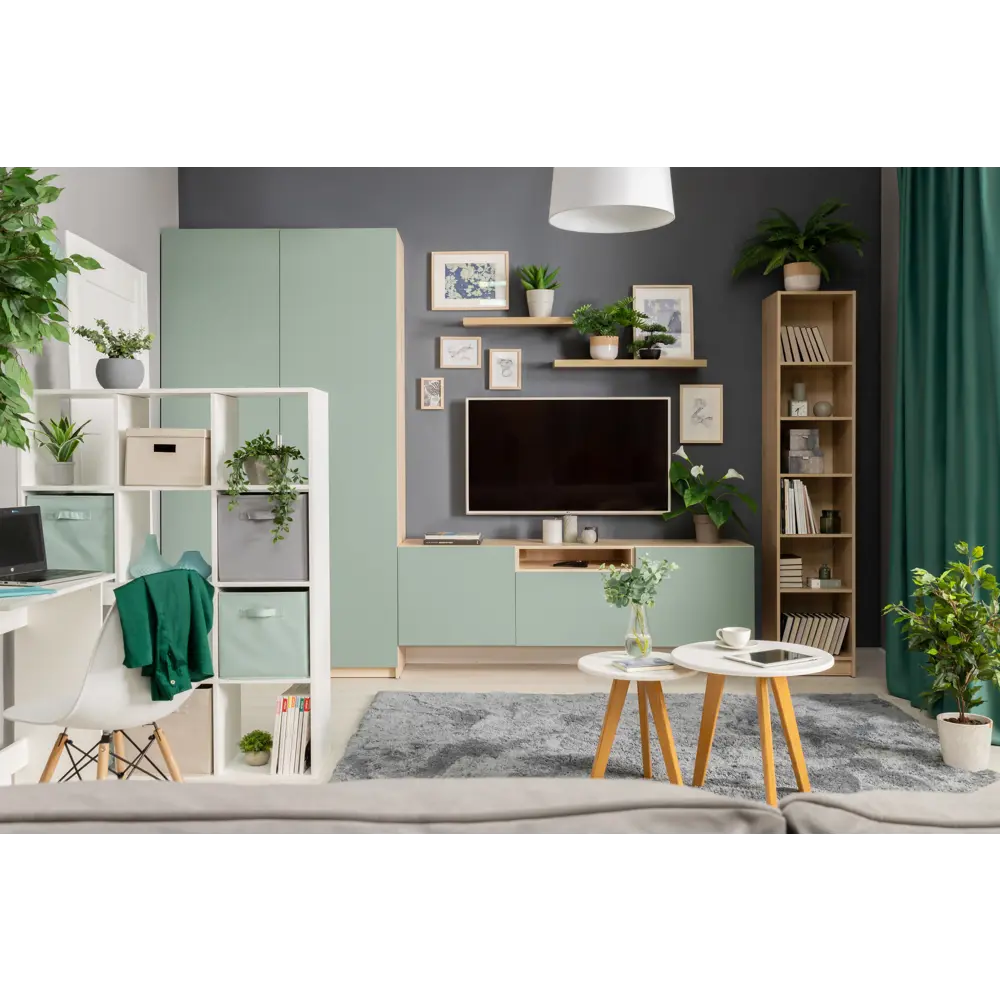 Каркас шкафа Santreyd Лион для систем хранения в интерьере 85204782 STLM-0059892 - Вид №11