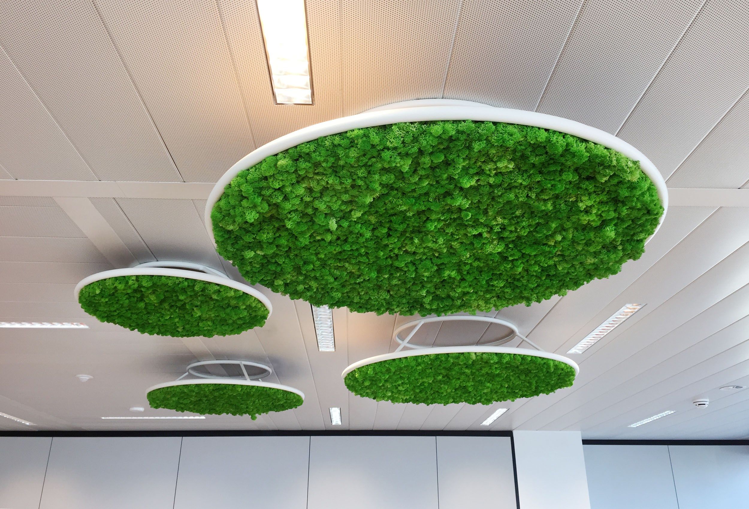 Растительная картина в стабилизированных растениях GREENMOOD G-Line ARCH-00117298 - Вид №4