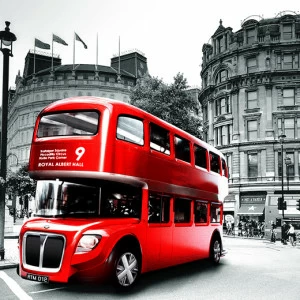 C1-389 Фотообои DIVINO Collection C 2.38х3 м