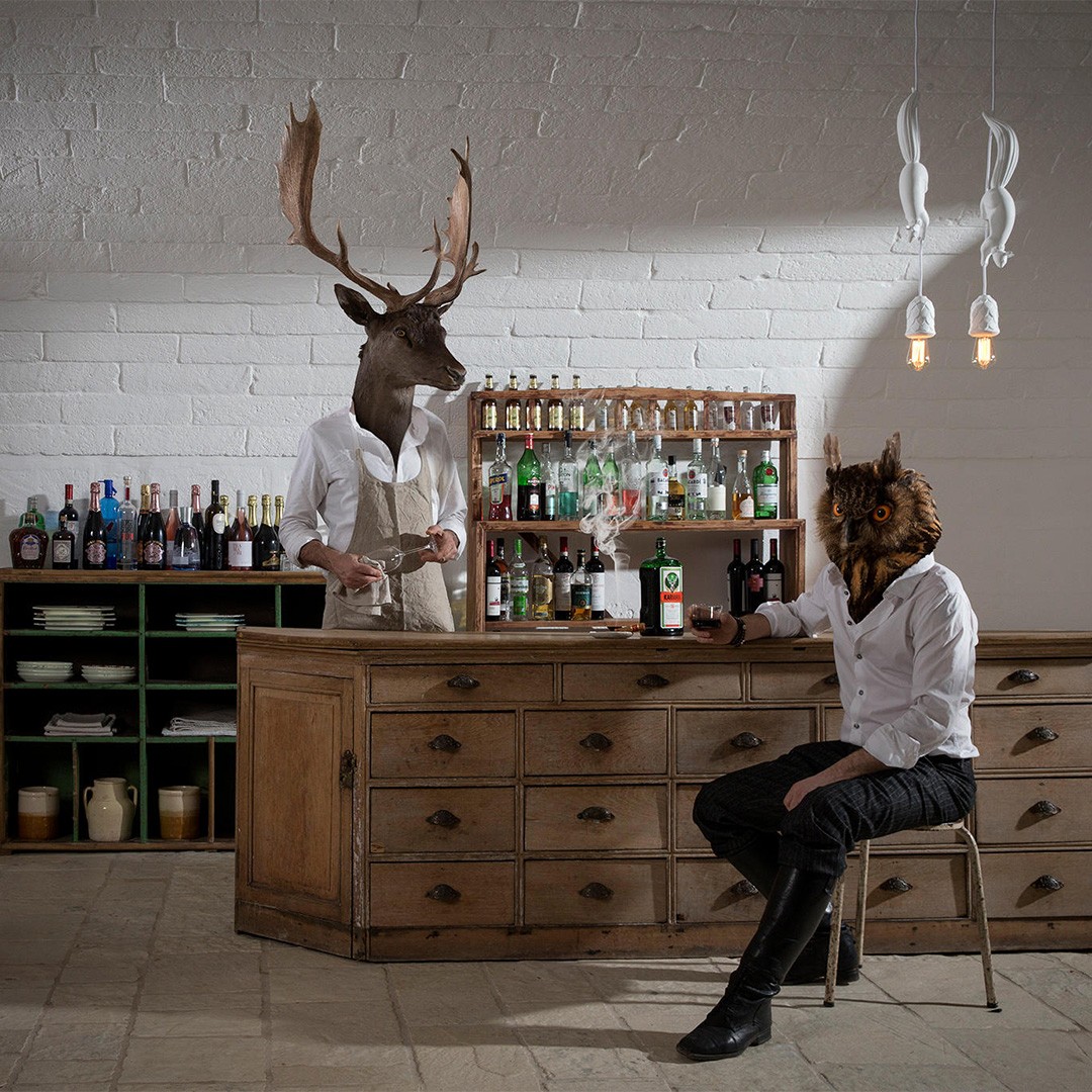 Karman Sherwood and Robin SE151 BB INT светильник белки 115747 - Вид №1