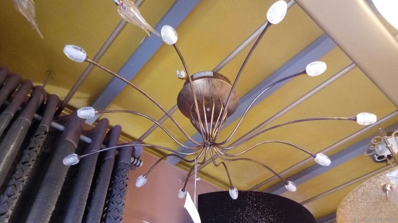 Linea Light 2834/LL-079.12.RQ люстра потолочная 56814