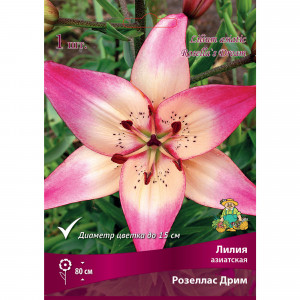 88294772 Лилия азиатская Розеллас дрим луковица 14/16