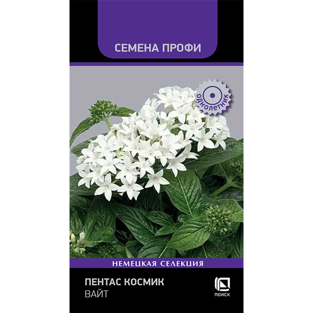 ПОИСК Пентас Космик Вайт - звездчатые цветы для дома и сада 89401234 STLM-1567409