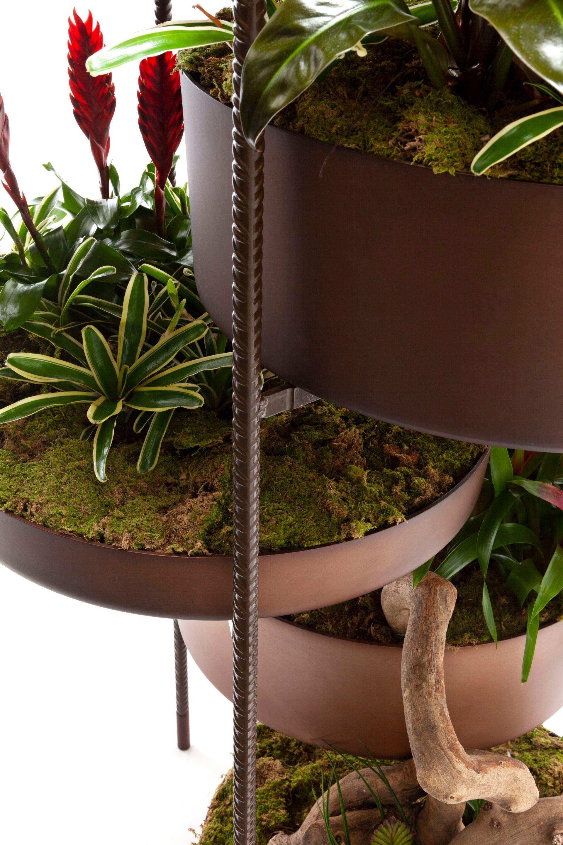 Нержавеющая сталь высокий горшок держатель Exteta 10th ARCH-00092532 - Вид №10