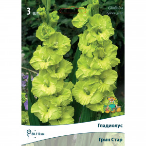 83596591 Гладиолус крупноцветковый Грин Стар луковица 10/12