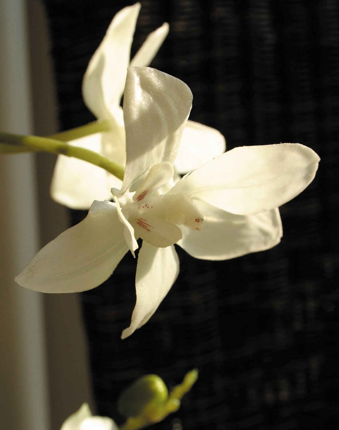 2579 777 a2 Пластиковая орхидея Phalaenopsis, ваза с водой, 80 см, real touch, белая H-andreas 