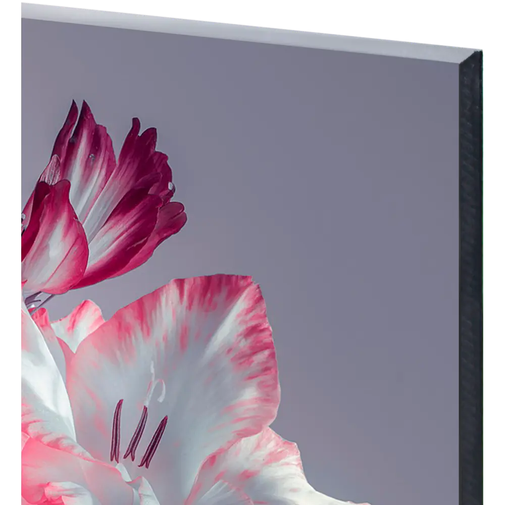 Картина на стекле "Цветы серые" 60x80 см 82924204 STLM-2030688 ARTABOSKO  - Вид №1