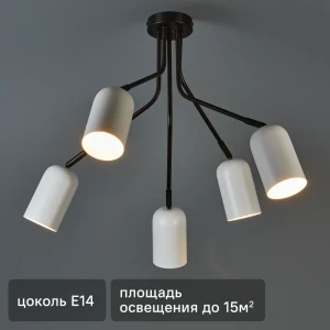 Люстра потолочная Rivoli Rosalinda 3167-305 - 5 ламп, белый цвет 89388831