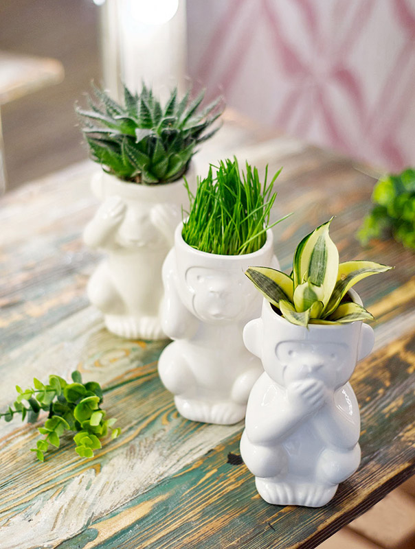 Горшок для растений Eco Игнорик ЭКОЧЕЛОВЕКИ 2003 - Вид №4