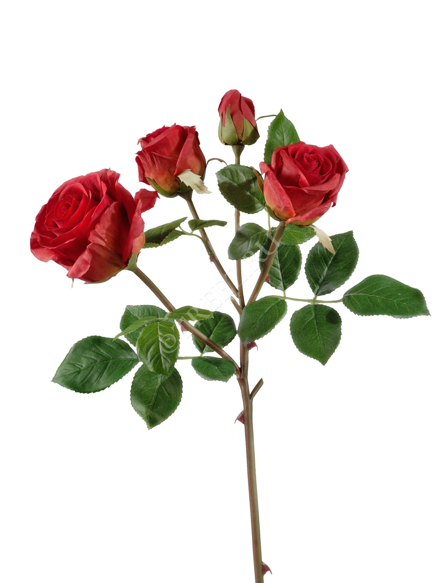 30.0610053RD Роза Флорибунда ветвь красная Цветочная коллекция 