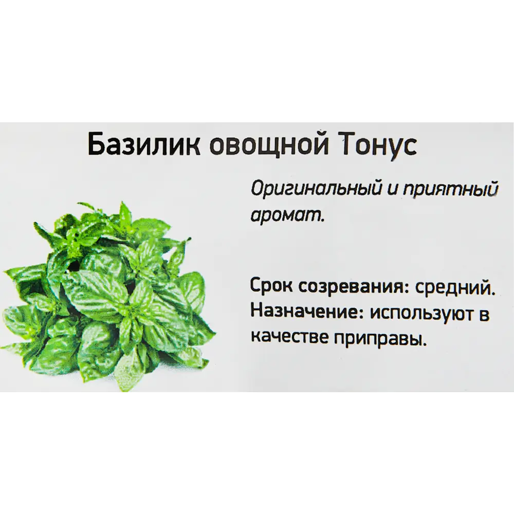Базилик h6 см 82219491 STLM-2097878 Santreyd  - Вид №1