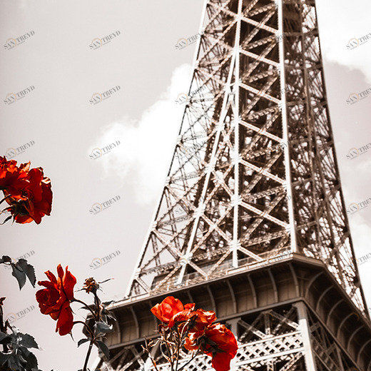 A1-085 Фотообои DIVINO Collection A 2.7х1 м A1085