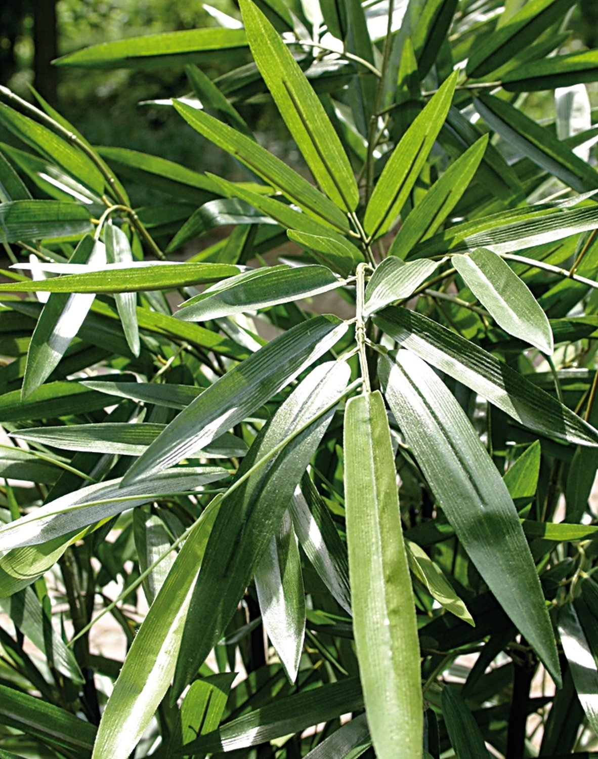 5694 883 a3 Бамбук искусственный, в горшке, 210 см, зеленый H-andreas  - Вид №5