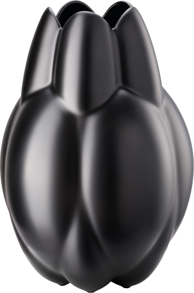 10640553 Rosenthal Ваза Rosenthal Суть 20см, фарфор, черная, матовая (Седрик Раго) Фарфор 