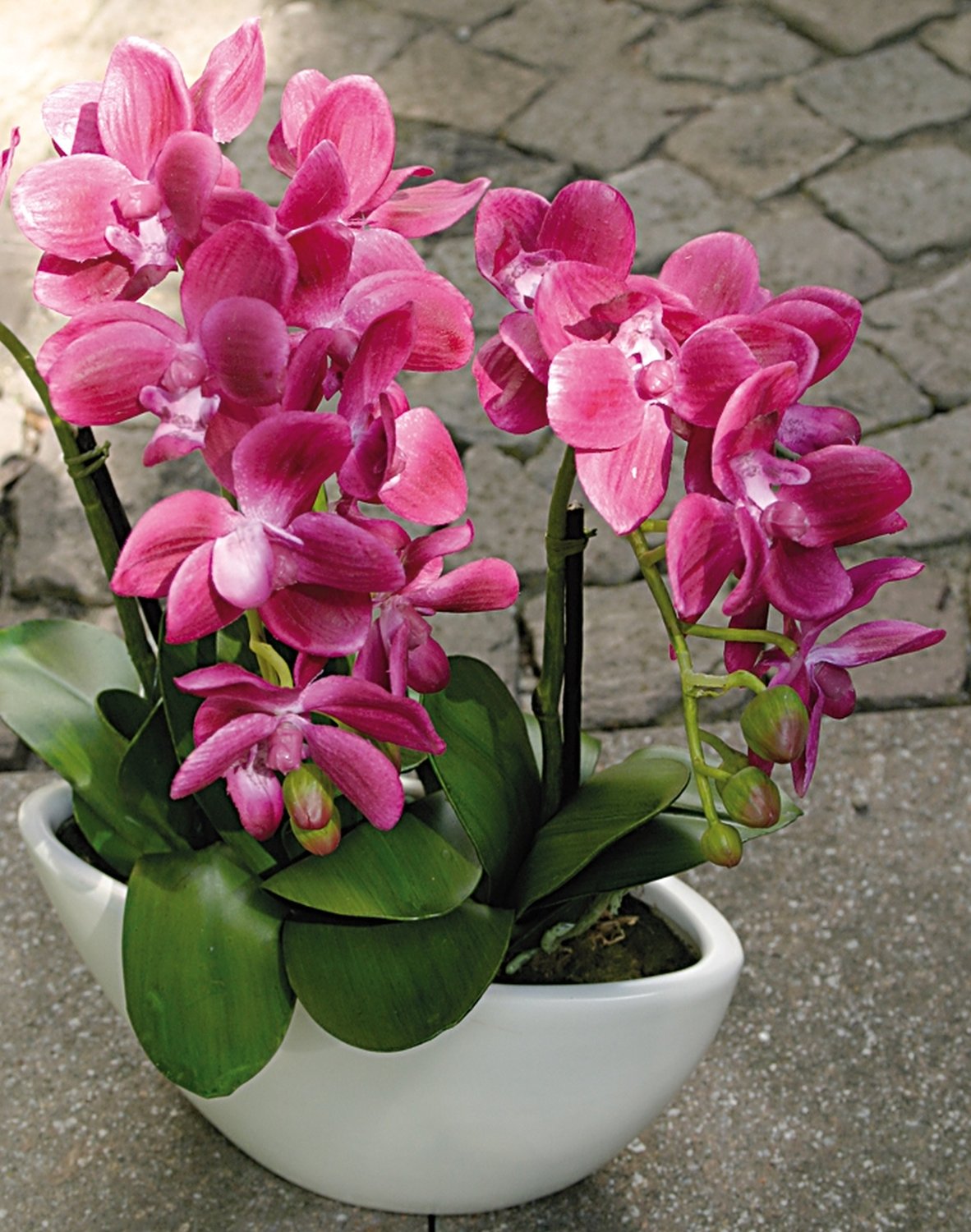 2609 420 a3 Пластиковая орхидея Phalaenopsis, 3-х кратная, в миске, 38 см, real touch, вишня H-andreas  - Вид №1