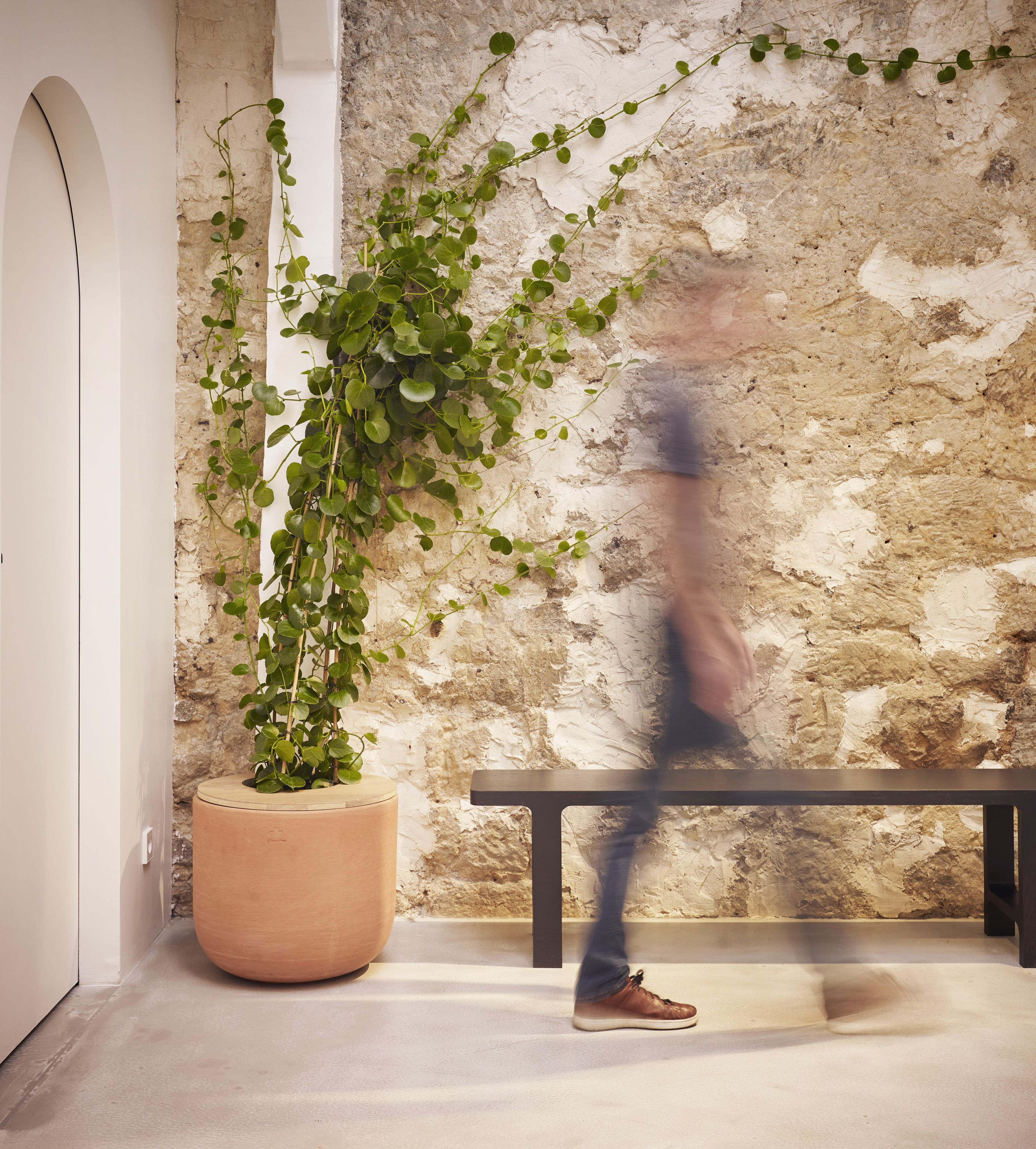 Терракотовая ВАЗа ручной работы ALKI Lur ARCH-00128306 - Вид №11