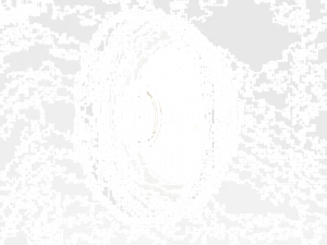 Nuura Настенный светильник / потолочный светильник Blossi