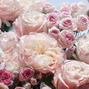 8-946 Фотообои Komar Englische Rosen 2.54х3.68 м