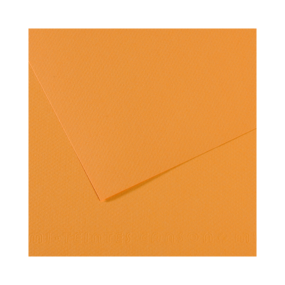 200321094 Бумага для пастели Mi-Teintes 160 г/м2 50 х 65 см лист №374 пеньковый Canson 