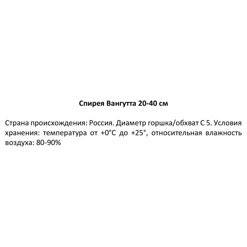 Спирея Вангутта ø22 h20-40 см 85320133 STLM-2054922 Santreyd  - Вид №2