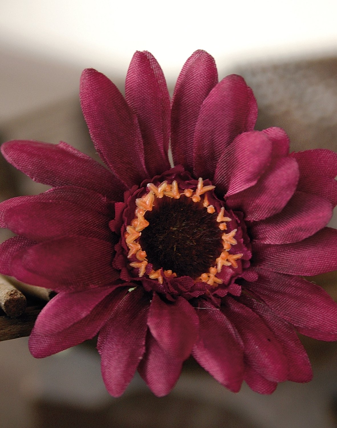 4214 490 a2 Искусственная гербера, 23 см, красно-черный H-andreas  - Вид №2