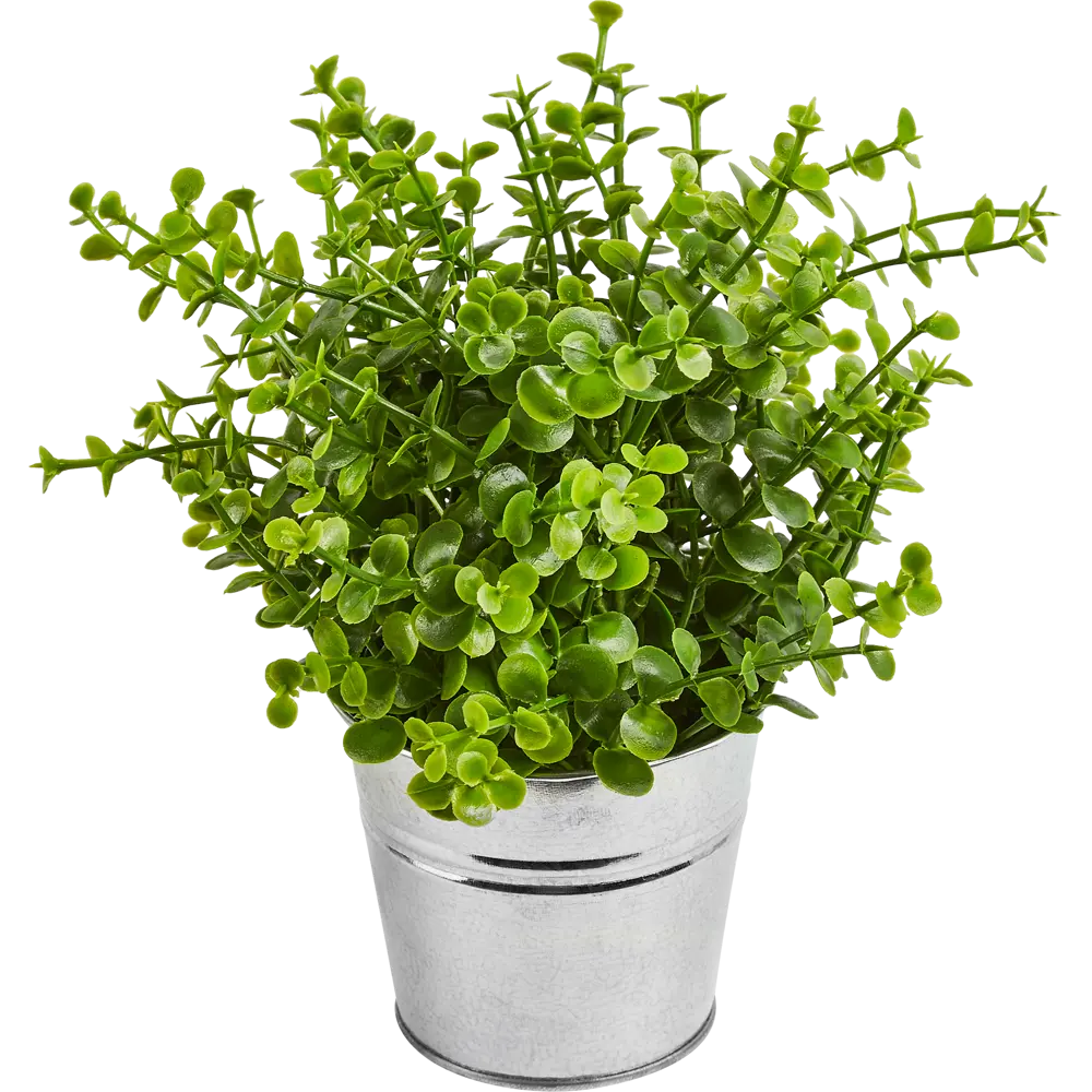 Искусственное растение в цинковом горшке Atmosphera D17x22 см микс 87051757 STLM-2188552  - Вид №6