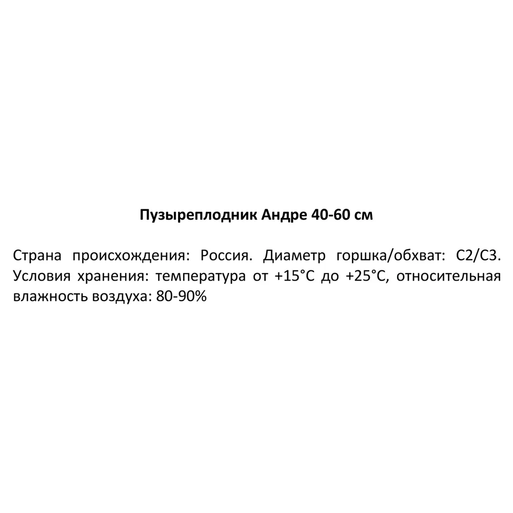 Пузыреплодник Андре h30-50 см 85320150 STLM-2127173 Santreyd  - Вид №3