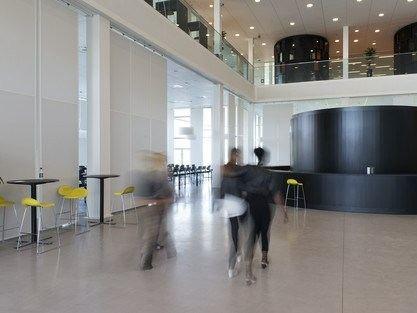 Rockfon Акустическая стеновая панель из каменной ваты Rockfon® vertiq® sun-id-1405788 - Вид №2