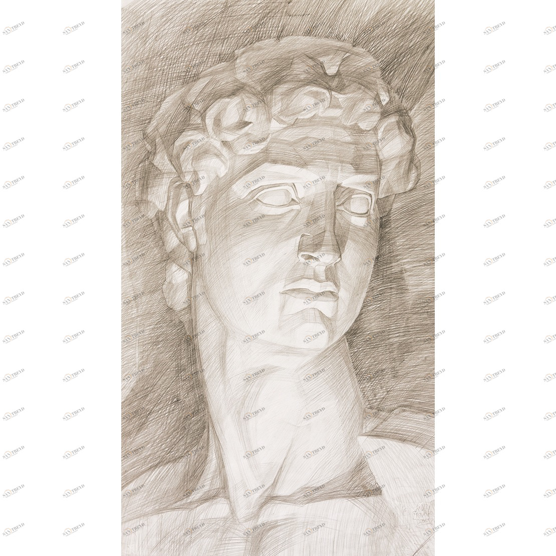 Рулон обоев SO WALL 2 SWL26981235. Основа нетканый материал Casadeco