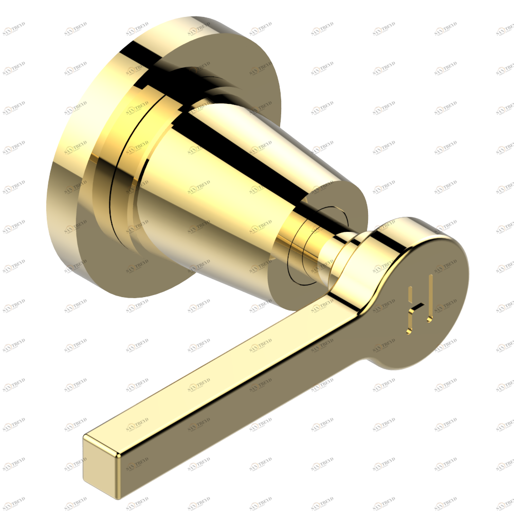 G58-30B/H Маховик для встраиваемого в стену вентиля для горячей воды Thg-paris Spirit с рукоятками Золото G58 30B/H CAT.F
