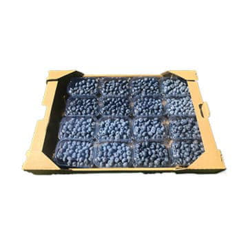 Голубика в ящике ~3 кг Santreyd 19941 - Вид №1