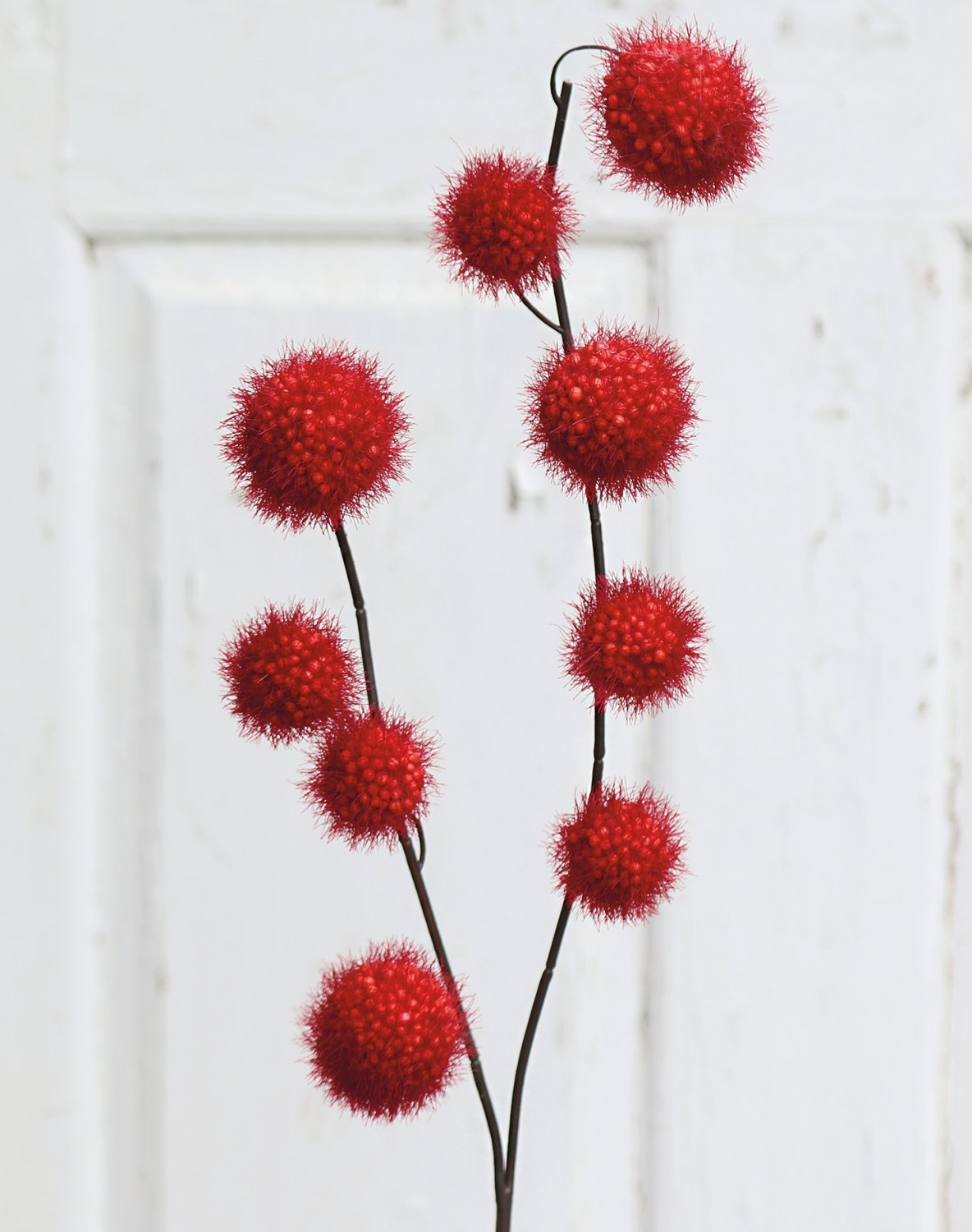 5549 442 a3 Фруктовая ветка гомфокарпус, 60 см, бордовый H-andreas  - Вид №1