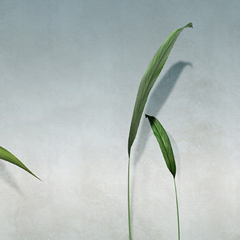 WP03101A Обои декоративные Adriani e Rossi 