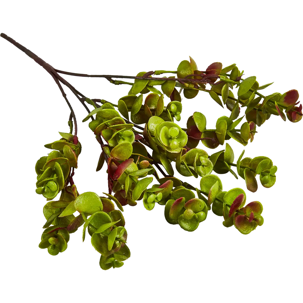 88455016 Искусственное растение Holiday 35x20 см пластик цвет зеленый STLM-0811581 Santreyd 