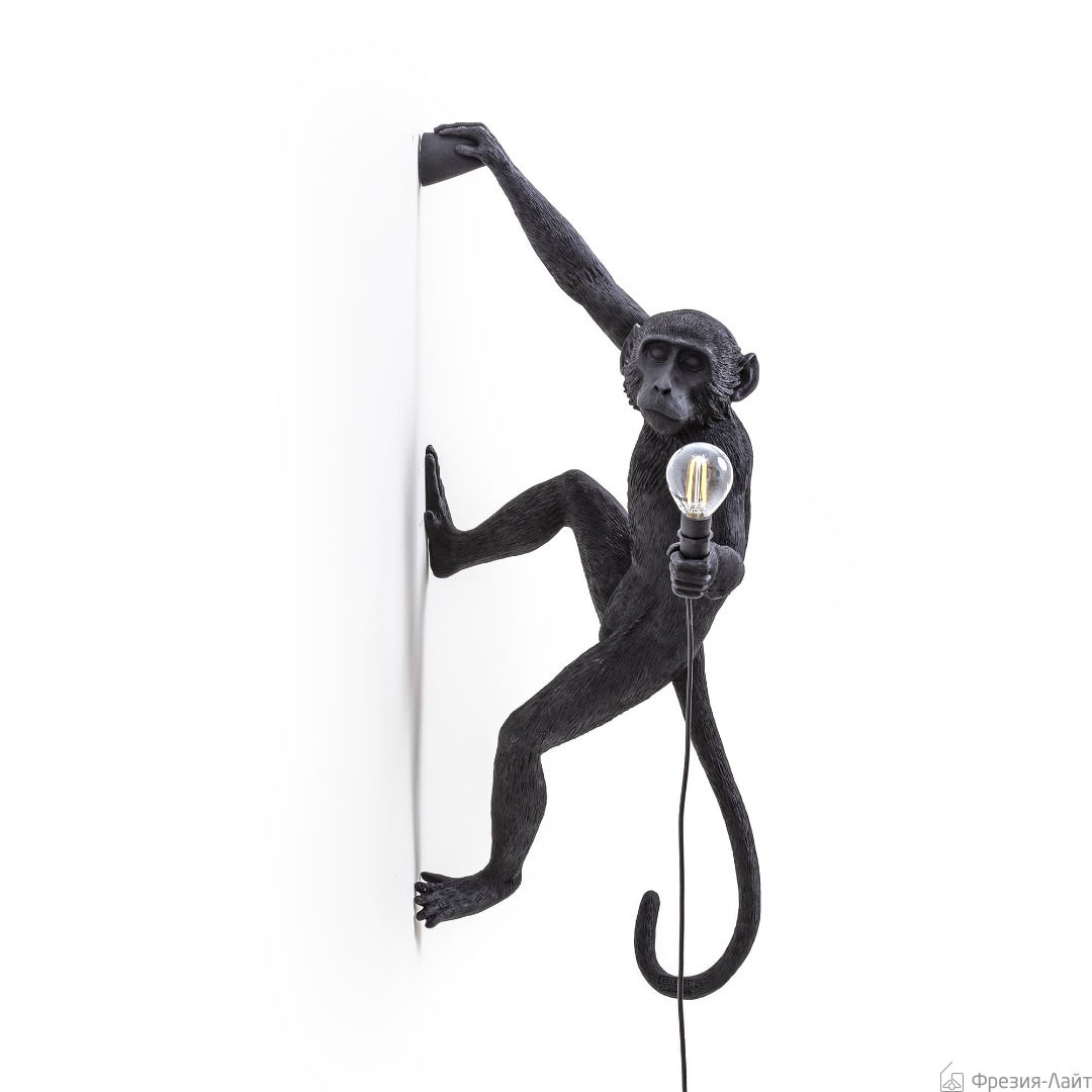 Seletti 14919 DX hang MONKEY OUTDOOR black настенный светильник обезьяна черная ПРАВЫЙ 116694