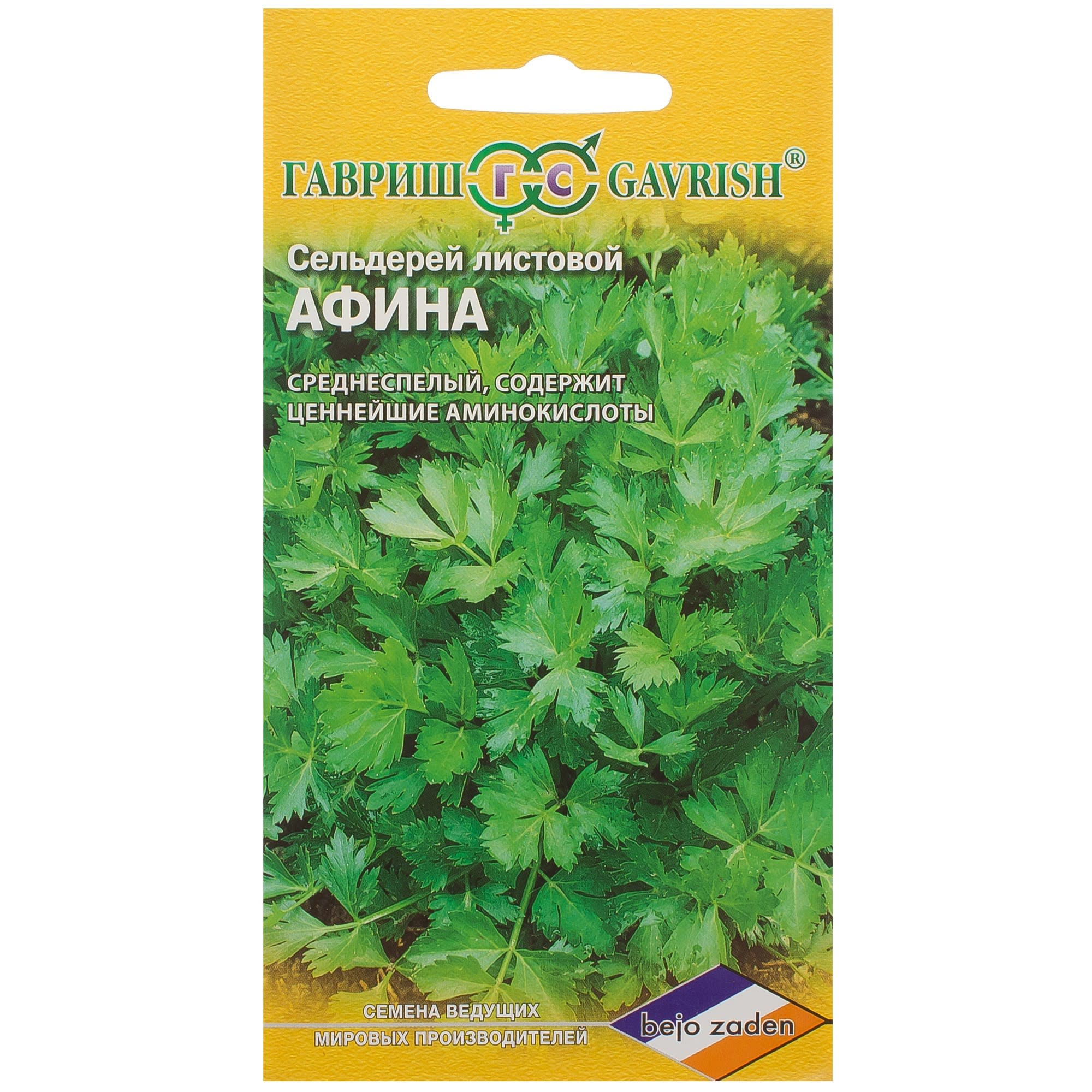 81933332 Семена Сельдерей листовой «Афина» 0.1 г, h14 Santreyd 