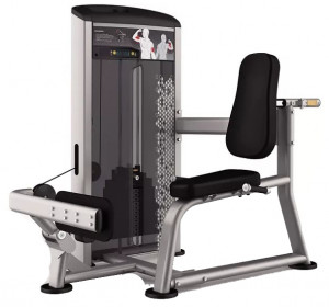 IE9516 Aerofit impulse elite ie9516 икроножные сидя AeroFIT Impulse Elite