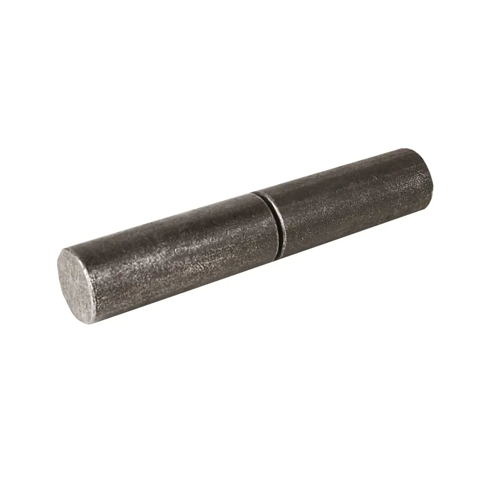 Петля гаражная с шаром 22x120 мм цвет черный Santreyd STLM-2062906 - Вид №1