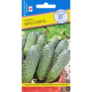 Семена Огурец «Муссон» F1