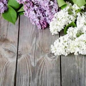 WP02443 Фотообои Verol Фотообои decoline 1х1 м